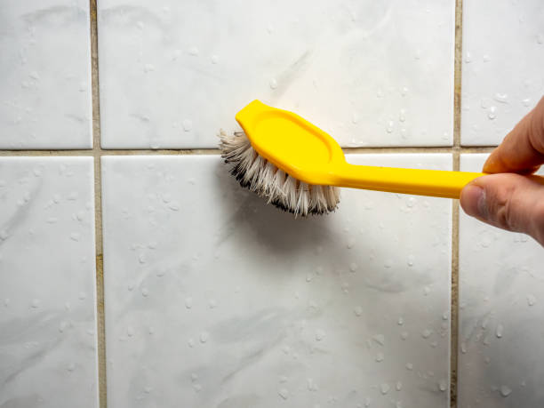 Best Emergency Mold Removal  in Peachtree City, GA