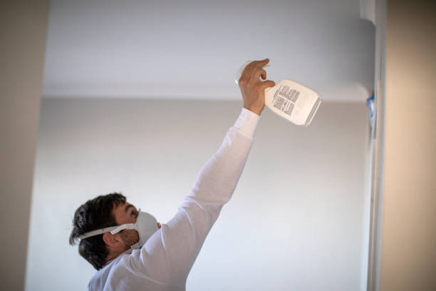  Peachtree City, GA Mold Removal Pros