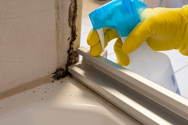 Best Mold Testing  in Peachtree City, GA