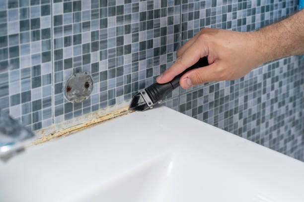 Best Best Mold Removal Companies  in Peachtree City, GA