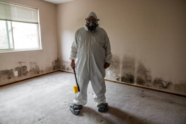 Best Mold Removal Company Near Me  in Peachtree City, GA