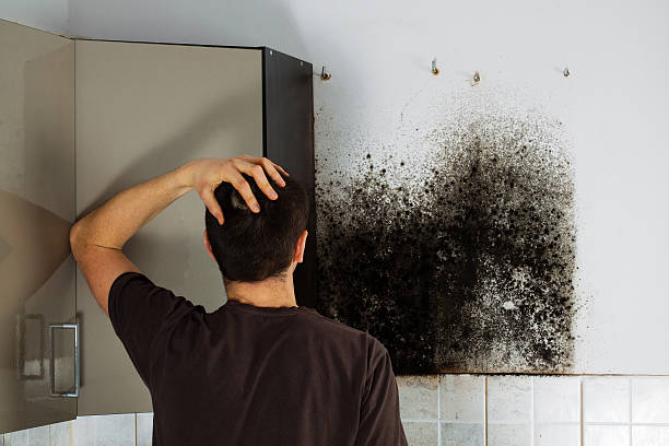 Mold Removal and Inspection in Peachtree City, GA
