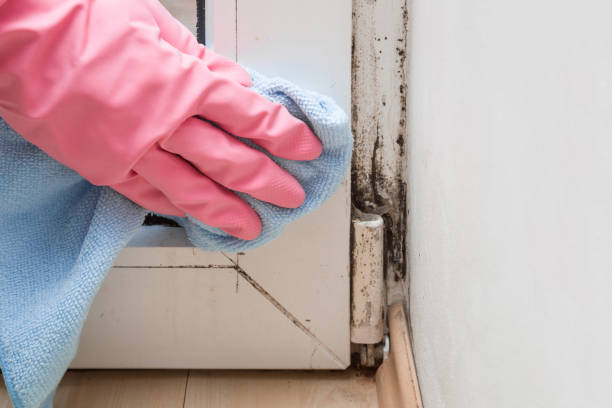 Water Damage Restoration in Peachtree City, GA