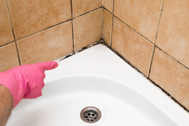 Best Toxic Mold Removal  in Peachtree City, GA